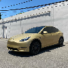 HX20000 Range 2:HX20P001B Zeus Gold Gloss