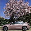 HX20000 Range 2:HX20437M Cinder Rose Metallic Matte