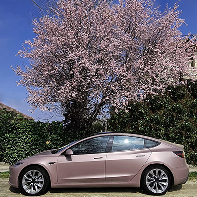 HX20000 Range 2:HX20437M Cinder Rose Metallic Matte